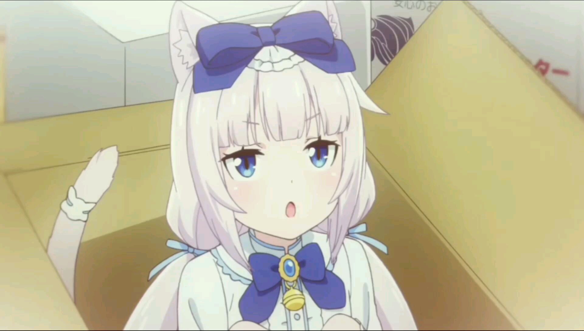 在?进来吸猫